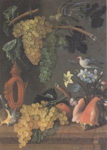 Juan de  Espinosa Still Life with Grapes (san 05) Norge oil painting art